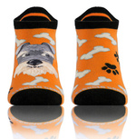 Finest Cotton Colored Foot Socks