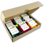 6x Colorful Finest Cotton Socks