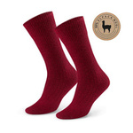 maroon || red