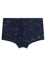 Men's Swimwear