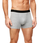 Chiloți bărbătești SM03 Gri