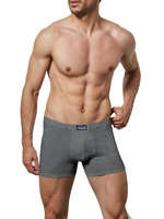 szorty męskie dopasowane wew. guma jersey 95% baw. 5% ela. 573-GRIS/SZMC-4/M