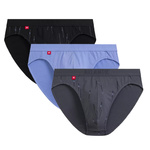 Men's Spor briefs