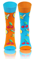 Cotton Socks Multicolor Finest Long