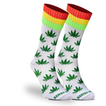 Sesto Senso Herren Skarpetki – Lange Baumwollsocken mit Löwenmotiv, Bunte Farben, Atmungsaktiv und Bequem, Vielseitig für Alltag und Elegante Outfits, Ideal für Sport und Freizeit, Neu